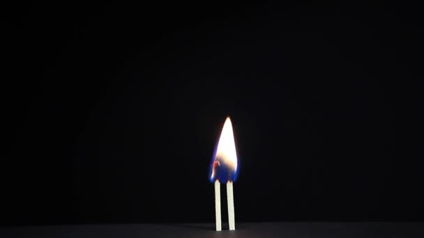Ξύλινα Σπίρτα Φωτιά Φλόγα Σκούρο Φόντο Βίντεο — Αρχείο Βίντεο