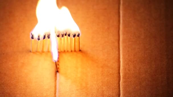 Ξύλινα Σπίρτα Φωτιά Φλόγα Χαρτί Κουτί Βίντεο — Αρχείο Βίντεο