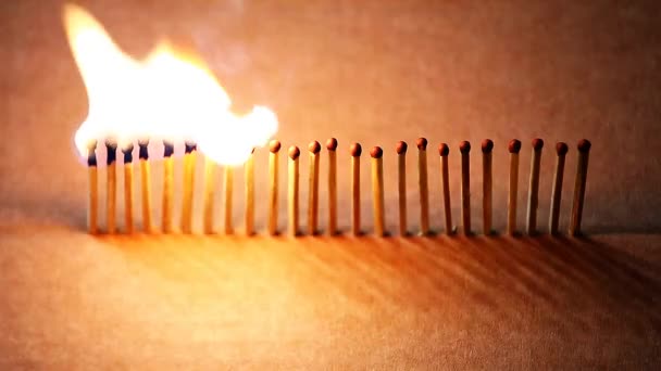 Wooden Matches Fire Flame Paper Box Background Footage — Stock Video