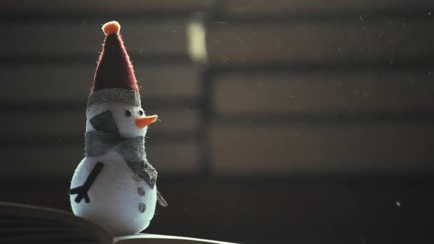 Muñeco Nieve Libros Polvo Metraje — Vídeo de stock