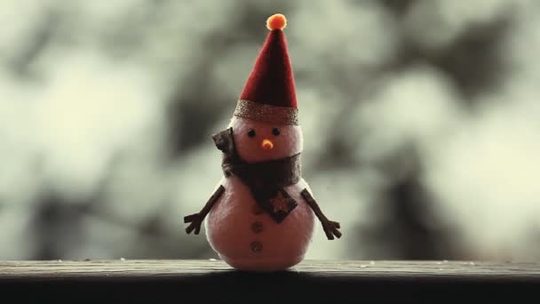 Bonhomme Neige Jardin Hiver Images — Video