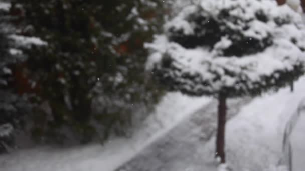 Vinter Snö Trädgård Film — Stockvideo