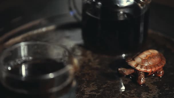 Черный Китайский Чайный Камень Таблицы Керамическая Черепаха Фигура Горячая Вода — стоковое видео