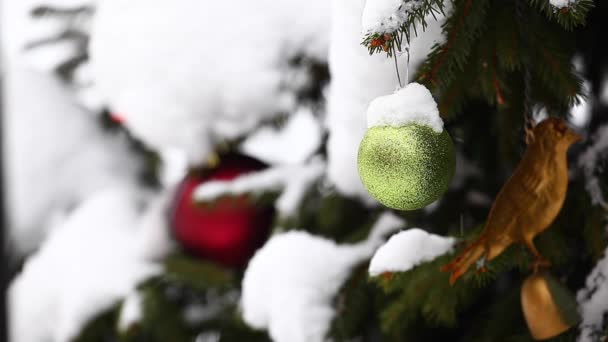Neues Jahr Grüner Ball Natürliche Straße Tanne Baum Winter Schnee — Stockvideo