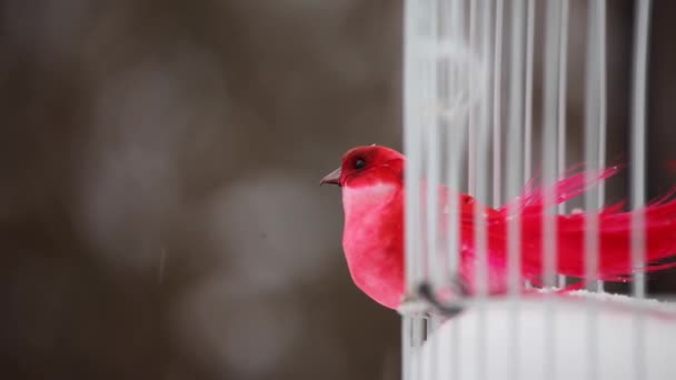piros játék madár fehér kültéri fém kalitka téli hó hd felvétel 