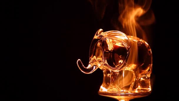 Glass Elephant Smoke Dark Background Footage — Stock Video