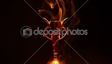 Gold Kupası duman koyu arka plan hd ayak 