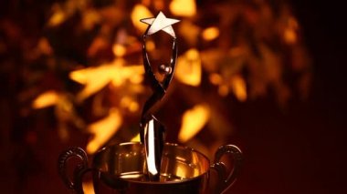 Gold Kupası heykel yıldız stüdyo kalitesi hd ayak 