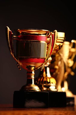 Gold Kupası stüdyo kalitesi 