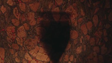  şarap kadehi gölge tıpa arka plan hd ayak 