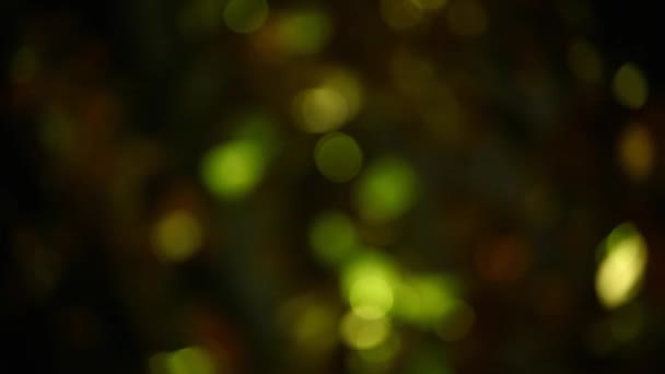 boule verte bokeh hd séquences  