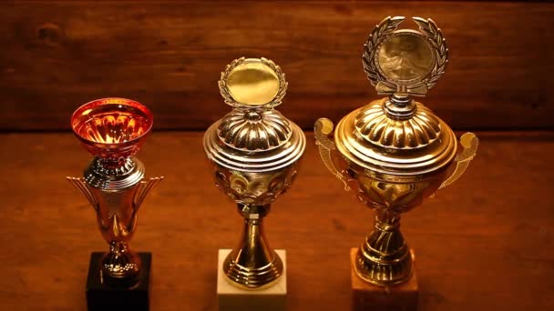 Gold Silver Bronze Cup Wooden Sharp Desk Studio Quality Footage — Stock Video