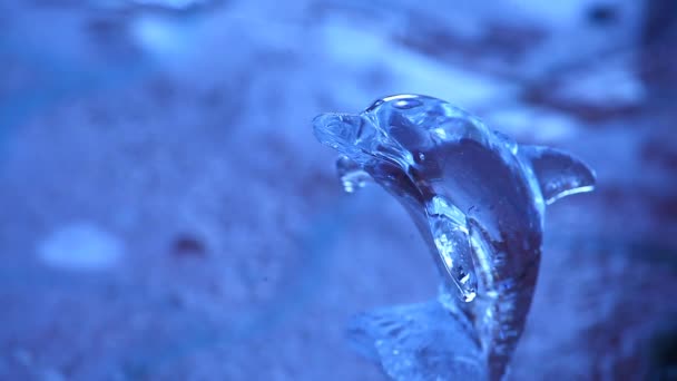 ガラス イルカ水滴 — ストック動画