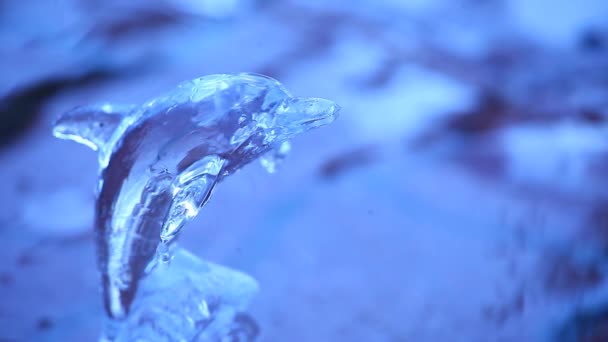 Wassertropfen Aus Glas Für Delfine — Stockvideo