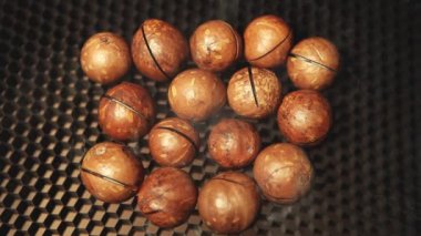 Macadamia nut kimse koyu arka plan hd ayak duman 