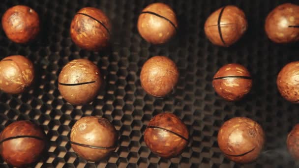 Macadamia Nut Smoke Dark Background Footage Nobody — Stock Video