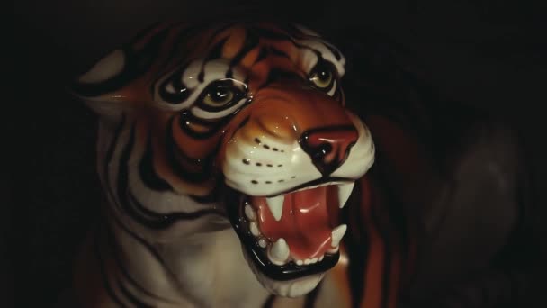 Tygrys Tło Ciemne Materiału — Wideo stockowe