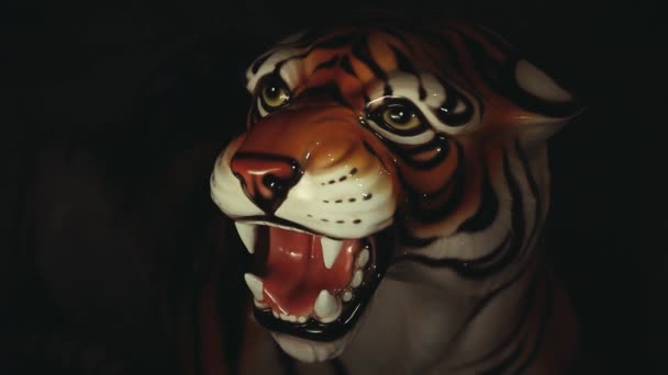 Tiger Tmavé Pozadí Záběry — Stock video