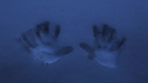 Schnee Hände Verfolgen Hintergrund Aufnahmen — Stockvideo