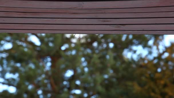 Holzdach Fällt Auf Filmmaterial — Stockvideo