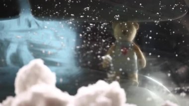 yün ayı araba penceresi kar hd ayak 