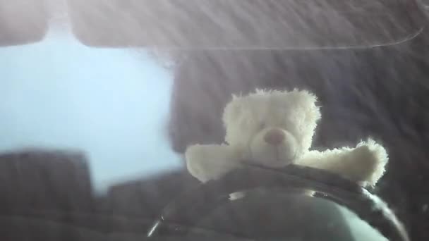 Urso Carro Janela Chuva Imagens — Vídeo de Stock