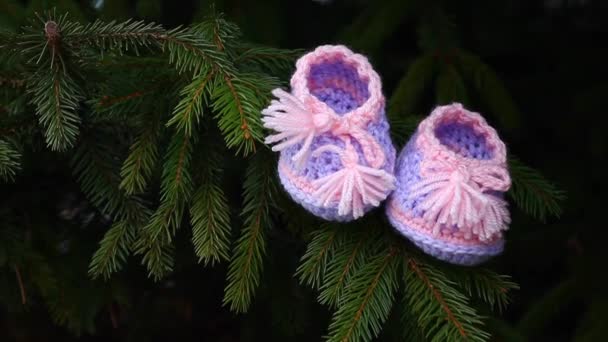Pasgeboren Baby Wol Schoenen Fir Tree Voorjaar Beelden — Stockvideo