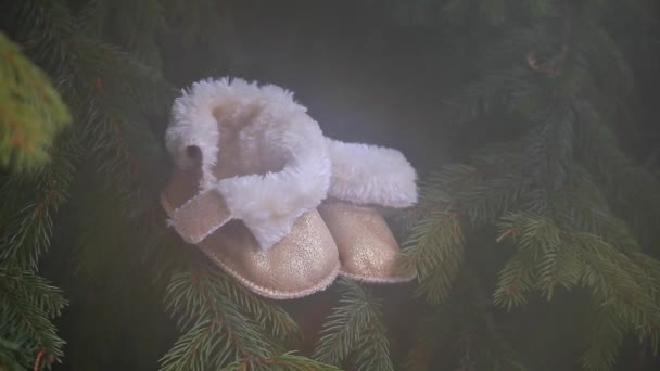 Newborn Baby Wool Shoes Fir Tree Spring Footage — Stock Video