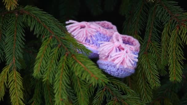 Nouveau Bébé Laine Chaussures Sapin Printemps Séquences — Video