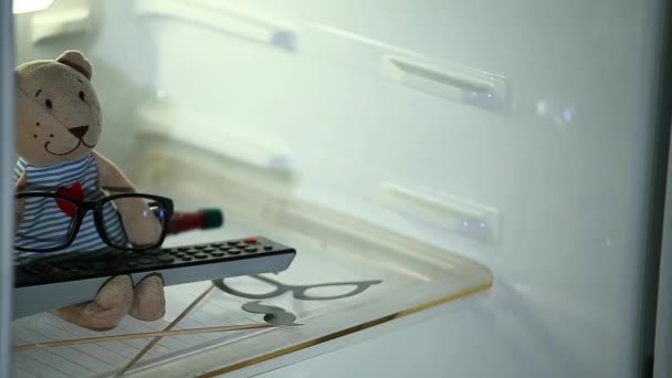 Kühlschrank Spielzeugbär Brille Maske Filmmaterial — Stockvideo