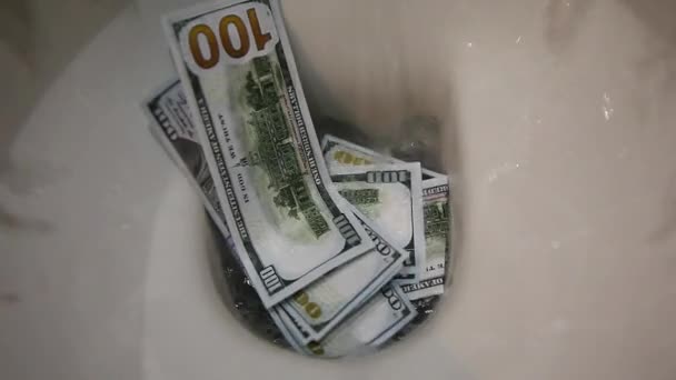 Money Dollar Toilet Footage — Stock Video