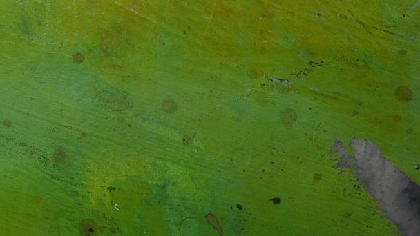 Grüne Scharfe Wand Filmmaterial Niemand — Stockvideo