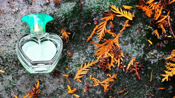 Frühling Wald Glas Parfüm Bootle Herz Symbol Niemand Filmmaterial — Stockvideo
