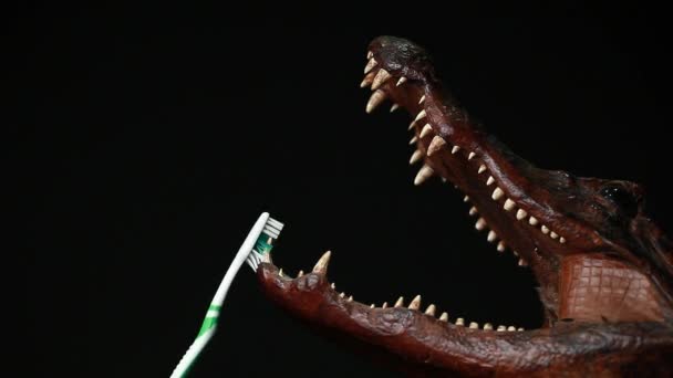 Toothbrush Crocodile Dark Background Nobody Footage — Stock Video