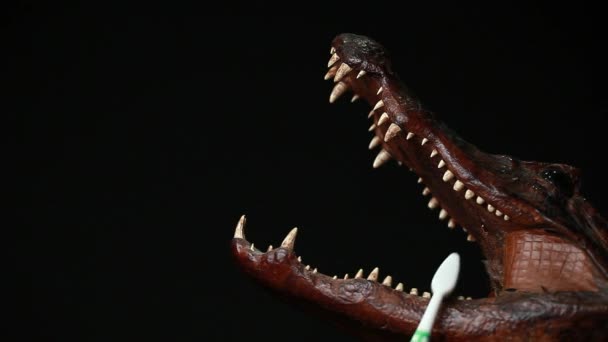 Zubní Kartáček Krokodýl Tmavé Pozadí Nikdo Záběry — Stock video