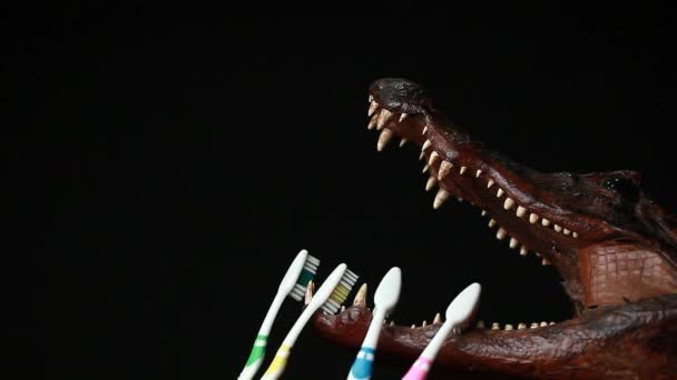 Toothbrush Crocodile Dark Background Nobody Footage — Stock Video