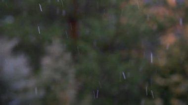 Şehir Parkı yağmur kar hd ayak kimse 