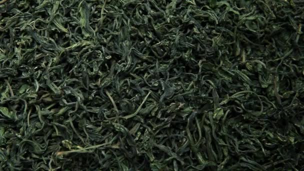 Grüner Chinesischer Tee Hintergrund Niemand — Stockvideo