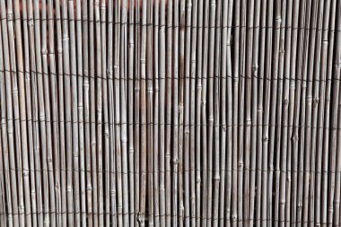 Doğal Kurutulmuş gri Reed kimse arka plan 