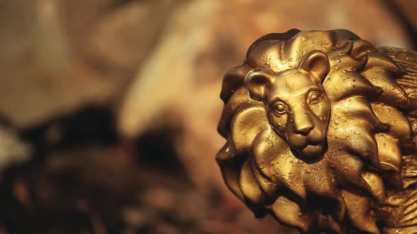 Χρυσό Λιοντάρι Άγαλμα Πέτρα Φόντο Κανείς Βίντεο — Αρχείο Βίντεο