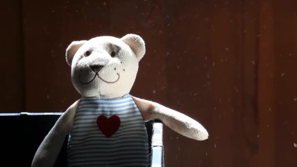 Wool Toy Bear Dust Footage — стоковое видео