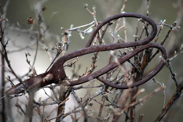 Viejo Oxidado Tijeras Primavera Jardín — Foto de Stock