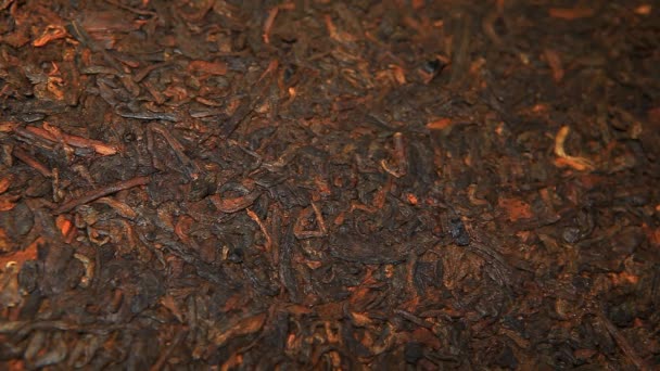 Czarna Chińska Herbata Nikt Nie Materiału — Wideo stockowe