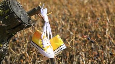 bahar bahçe Ayakkabı kimse HD görüntü küçük sarı 