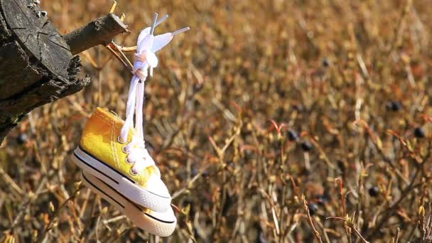 Primavera Jardín Pequeño Amarillo Zapatos Nadie Material Archivo — Vídeo de stock