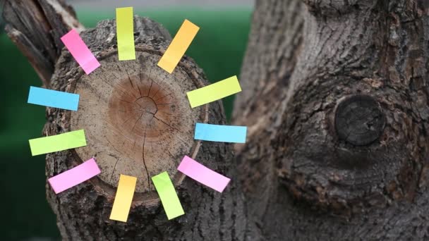 Bosque Árbol Talón Papel Pegatinas Nadie Material Archivo — Vídeos de Stock