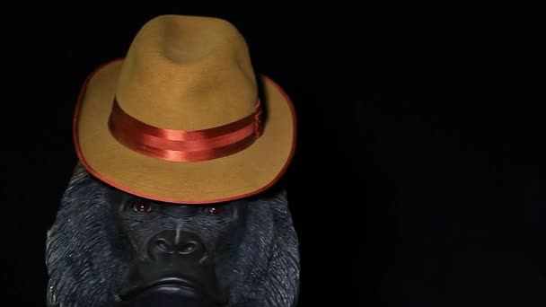 Gorilla Cabeza Vintage Sombrero Oscuro Fondo Metraje — Vídeo de stock
