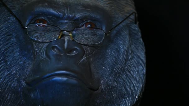 king kong free video king kong free video
