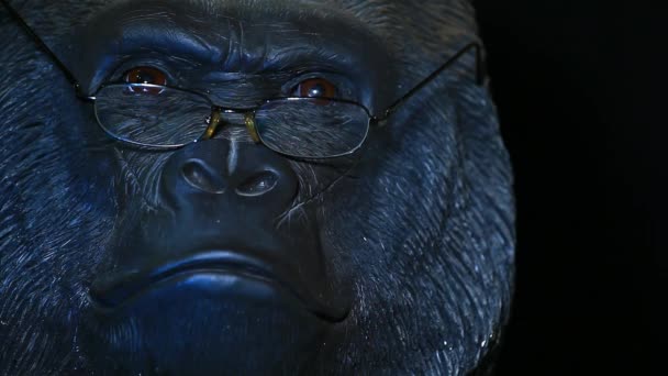 Gorilla Head Glazen Donkere Achtergrond Beelden — Stockvideo