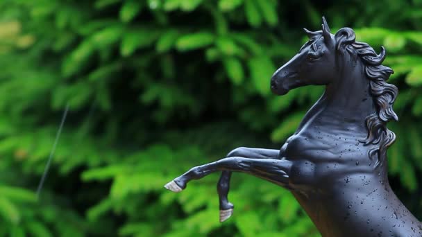 Фигура Черной Лошади Дождем — стоковое видео